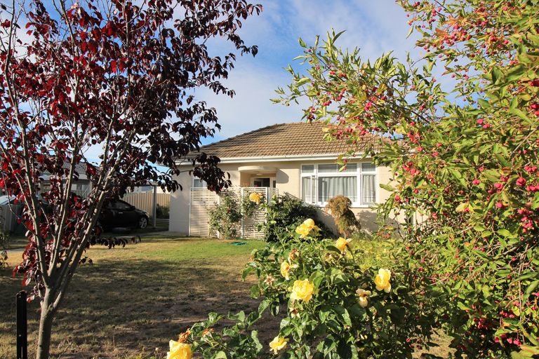 Photo of property in 43 Ventry Street, Alexandra, 9320