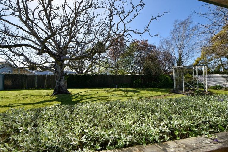 Photo of property in 17 Macara Street, Masterton, 5810