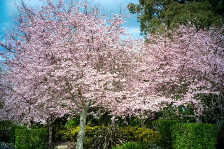 Photo of property in Parkland Estate, 35/275 Pukehangi Road, Sunnybrook, Rotorua, 3015