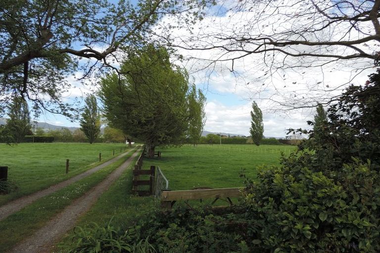 Photo of property in 31 Stopford Road, Te Poi, Matamata, 3473