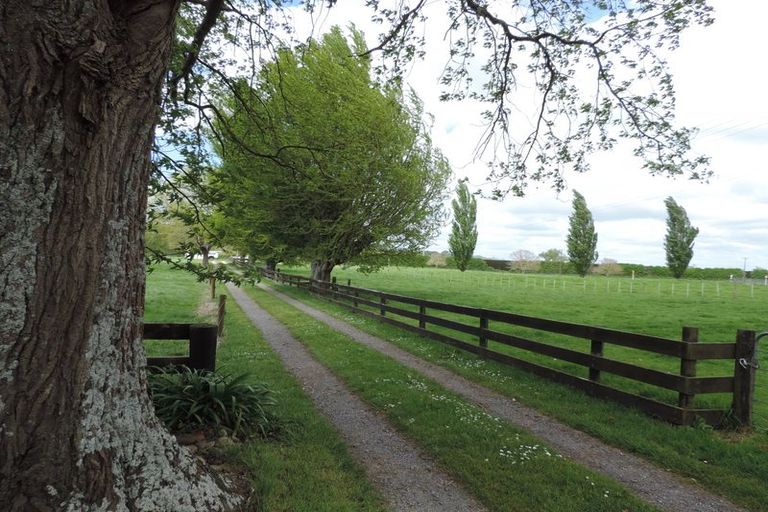 Photo of property in 31 Stopford Road, Te Poi, Matamata, 3473
