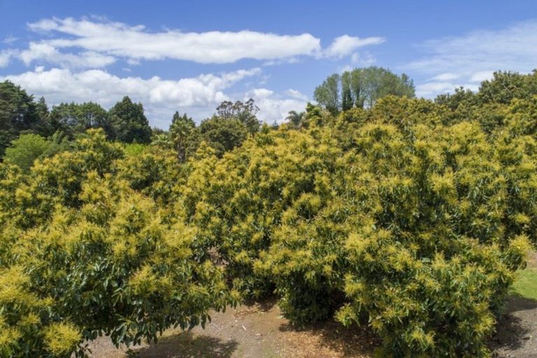 Photo of property in 63a Snodgrass Road, Te Puna, Tauranga, 3174