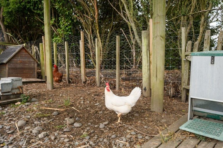 Photo of property in 21 Sutherland Road, Sanson, Palmerston North, 4479