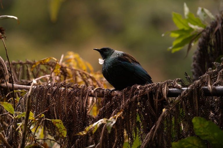 Photo of property in 148 Watershed Road, Bunnythorpe, Palmerston North, 4470