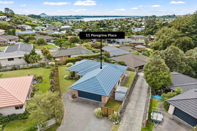 Photo of property in 11 Peregrine Place, Welcome Bay, Tauranga, 3112