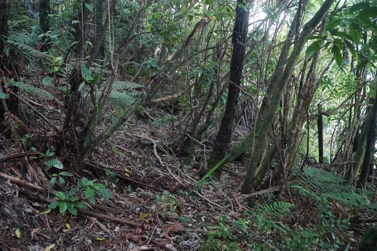 Photo of property in 5 Leith Crescent, Greymouth, 7805