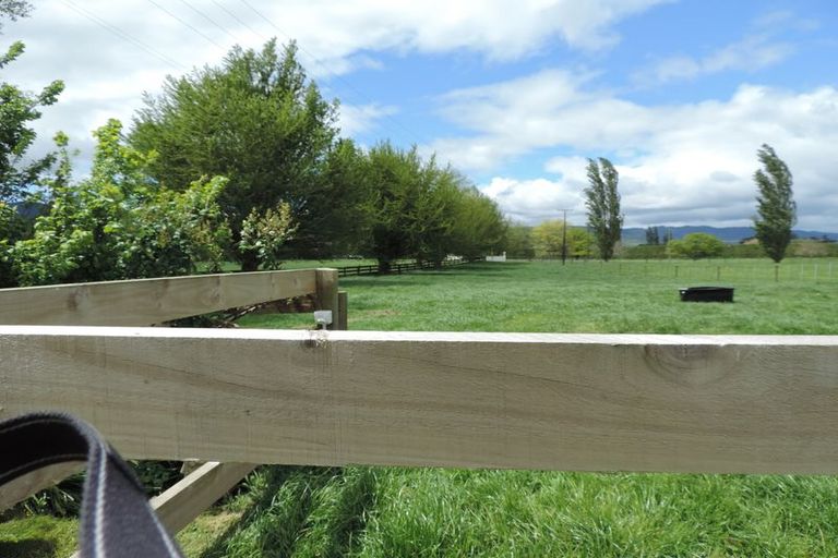 Photo of property in 31 Stopford Road, Te Poi, Matamata, 3473