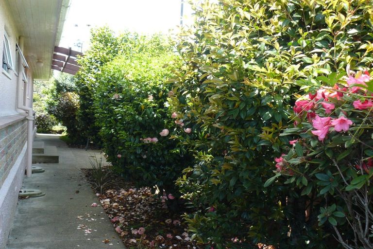 Photo of property in 254 Songer Street, Stoke, Nelson, 7011