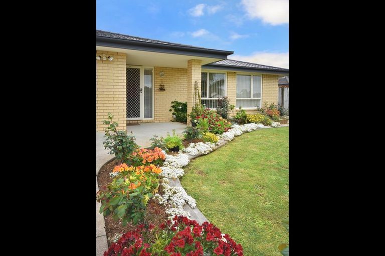 Photo of property in 41 Greig Place, Pukekohe, 2120