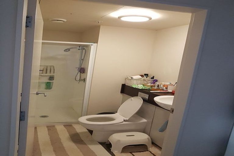 Photo of property in The Peak Apartments, 506/170 Taranaki Street, Te Aro, Wellington, 6011