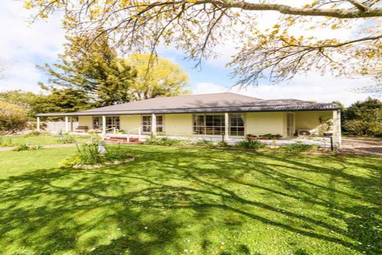 Photo of property in 185 Oxford Street, Ashhurst, 4810