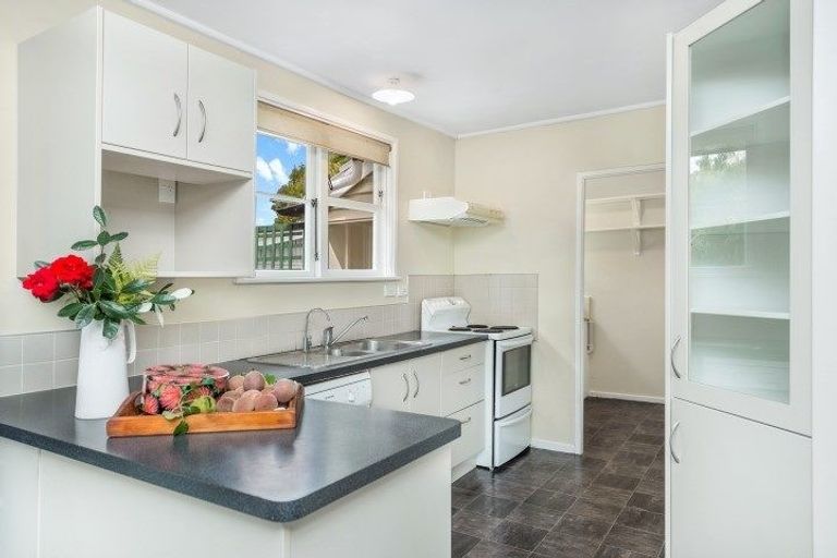 Photo of property in 50 Sare Crescent, Fairfield, Hamilton, 3214