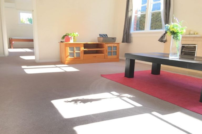 Photo of property in 45 Pacific Street, Roslyn, Dunedin, 9010