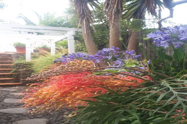 Photo of property in 76 Wade River Road, Stanmore Bay, Whangaparaoa, 0932