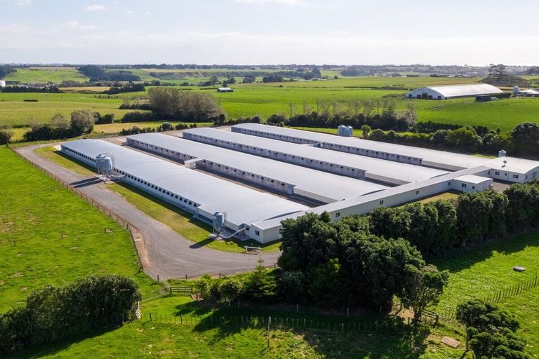 Photo of property in 116 Ngatimaru Road, Tikorangi, Waitara, 4383