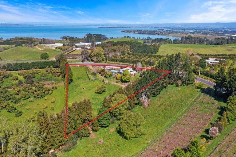 Photo of property in 213 Kauri Point Road, Tahawai, Katikati, 3170