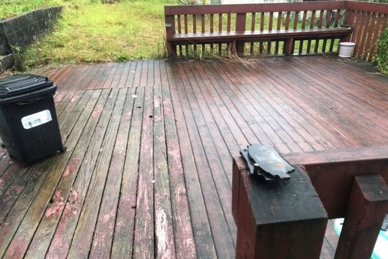 Photo of property in 5 Garner Place, Glenfield, Auckland, 0629