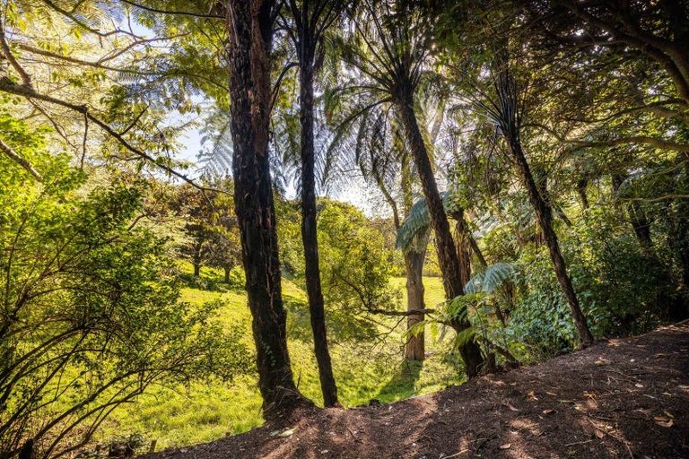 Photo of property in 186 Mangorei Road, Merrilands, New Plymouth, 4312