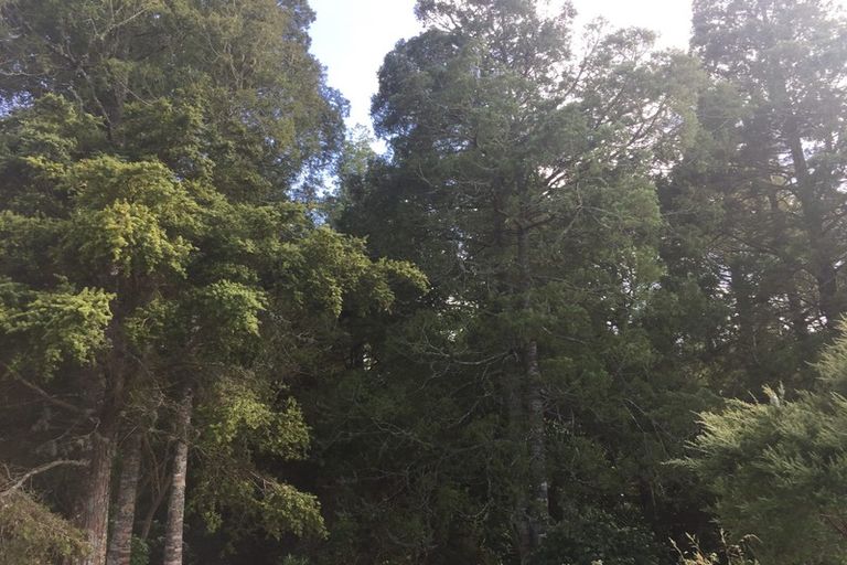 Photo of property in 237 Pahi Road, Pahi, Paparoa, 0571