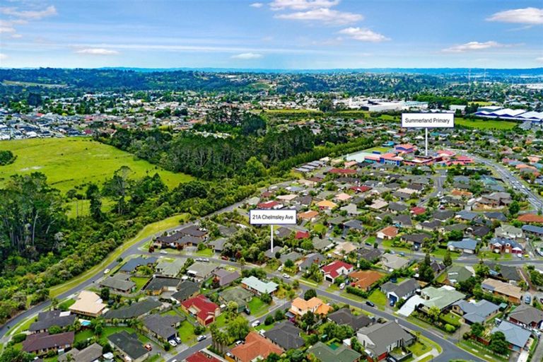 Photo of property in 21a Chelmsley Avenue, Henderson, Auckland, 0612