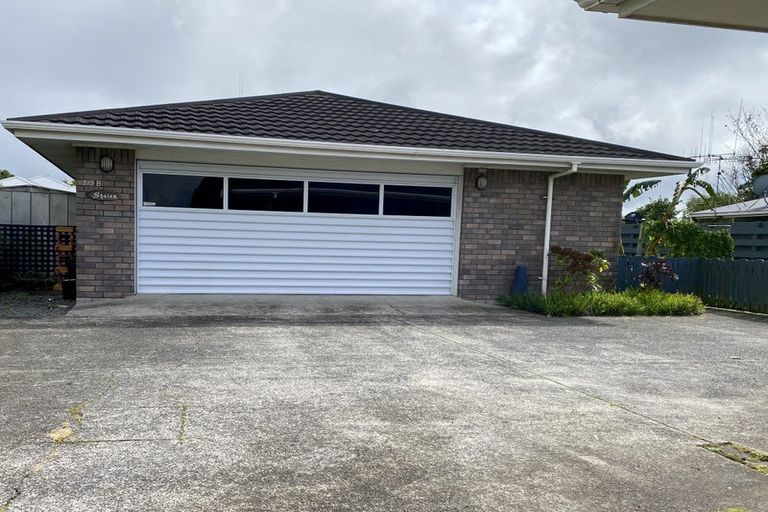 Photo of property in 195b Boucher Avenue, Te Puke, 3119