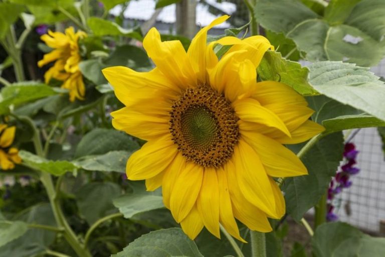 Photo of property in 35 Hunter Street, Taita, Lower Hutt, 5011