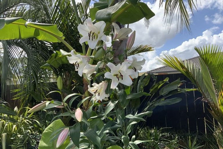 Photo of property in 31 Wells Place, Whitianga, 3510