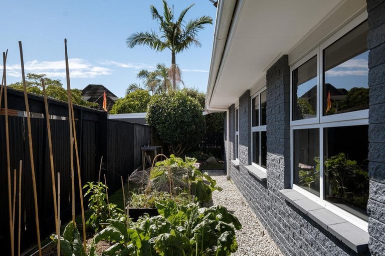 Photo of property in 127b Valley Road, Mount Maunganui, 3116
