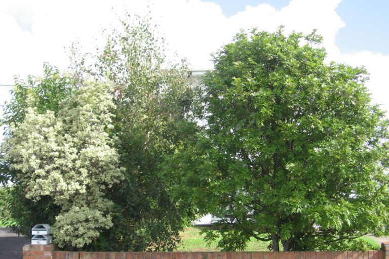 Photo of property in 8 Chilcott Road, Henderson, Auckland, 0612