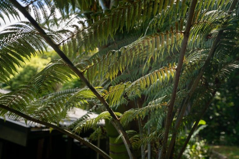 Photo of property in 101 Huia Street, Waikanae, 5391