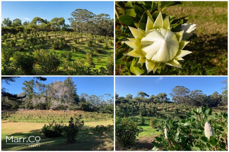 Photo of property in 12 Kaikatia Road, Pukenui, 0484