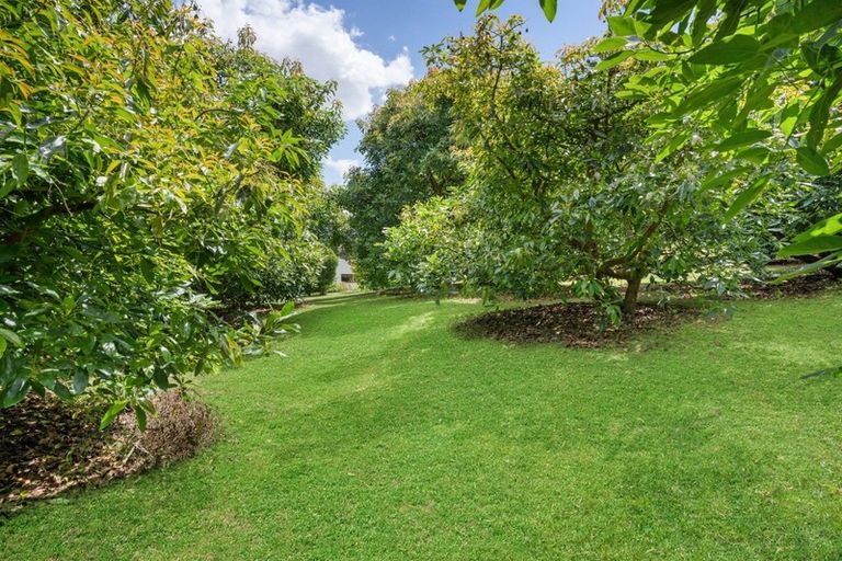 Photo of property in 350 Esdaile Road, Whakamarama, Tauranga, 3180
