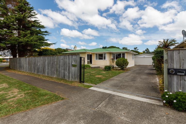 Photo of property in 151 Limbrick Street, Terrace End, Palmerston North, 4410