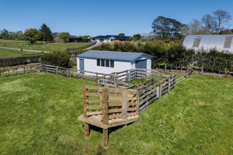 Photo of property in 1236f Oropi Road, Oropi, Tauranga, 3173