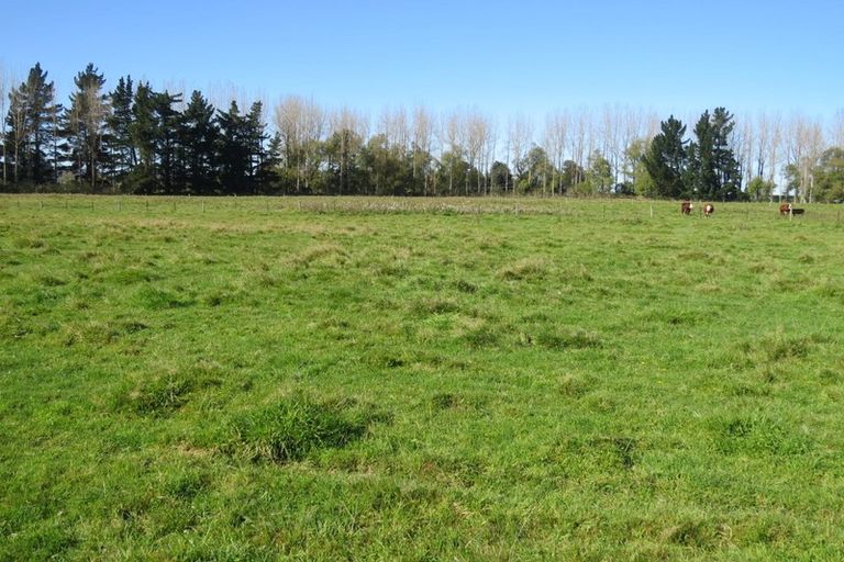 Photo of property in 141 Nixons Road, Fairlie, 7987