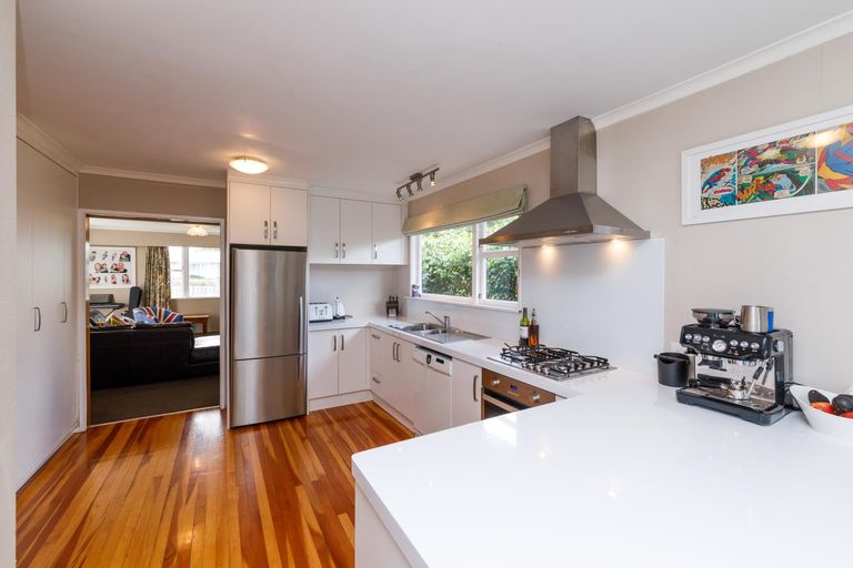 Photo of property in 151 Limbrick Street, Terrace End, Palmerston North, 4410