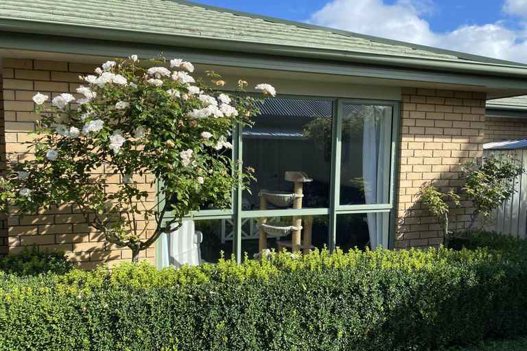 Photo of property in 85 Tennyson Street, Rolleston, 7614