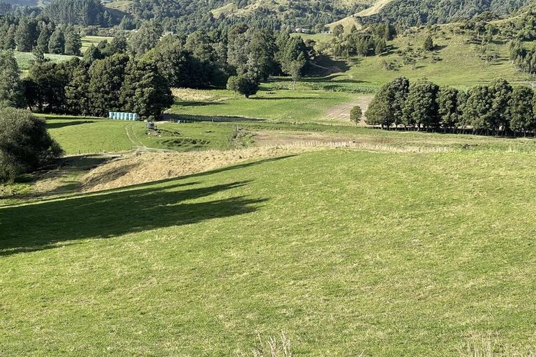 Photo of property in 1175 Waitomo Valley Road, Waitomo, Otorohanga, 3977