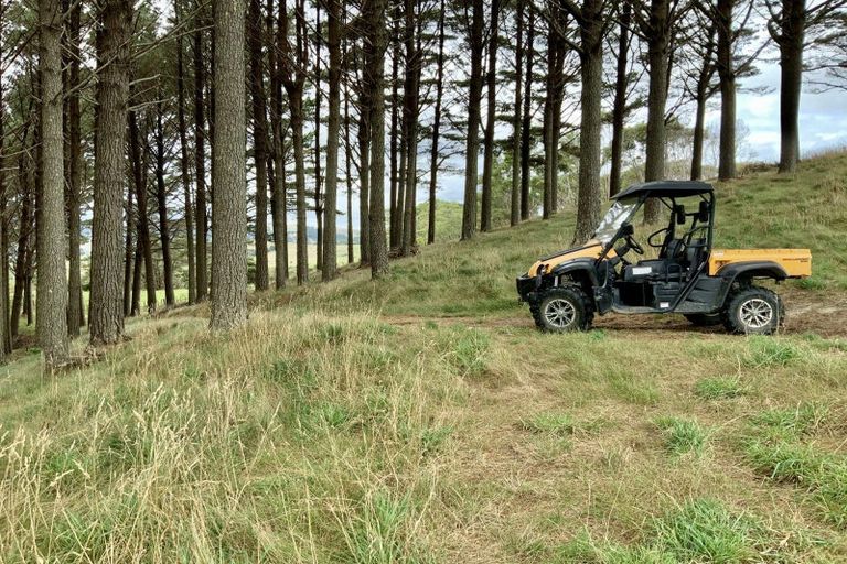 Photo of property in 436 Burnside Road, Makarau, Kaukapakapa, 0873