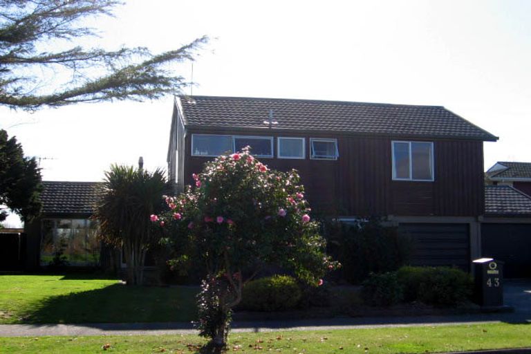 Photo of property in 43 Dittmer Drive, Awapuni, Palmerston North, 4412