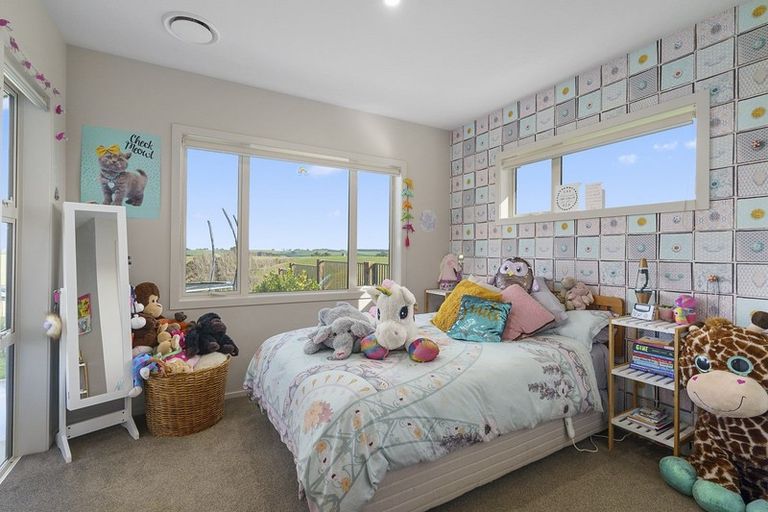 Photo of property in 58 Beechwood Road, Feilding, 4779