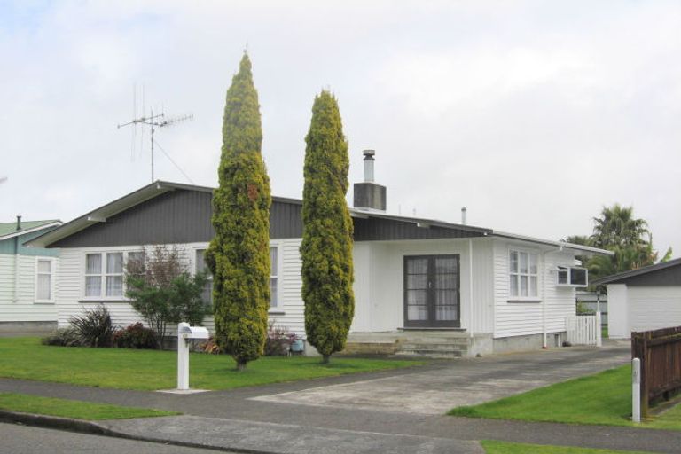 Photo of property in 41 Featherston Street, Levin, 5510