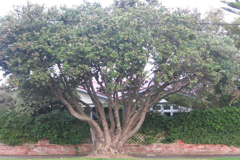 Photo of property in 35 Kiwi Street, Alicetown, Lower Hutt, 5010