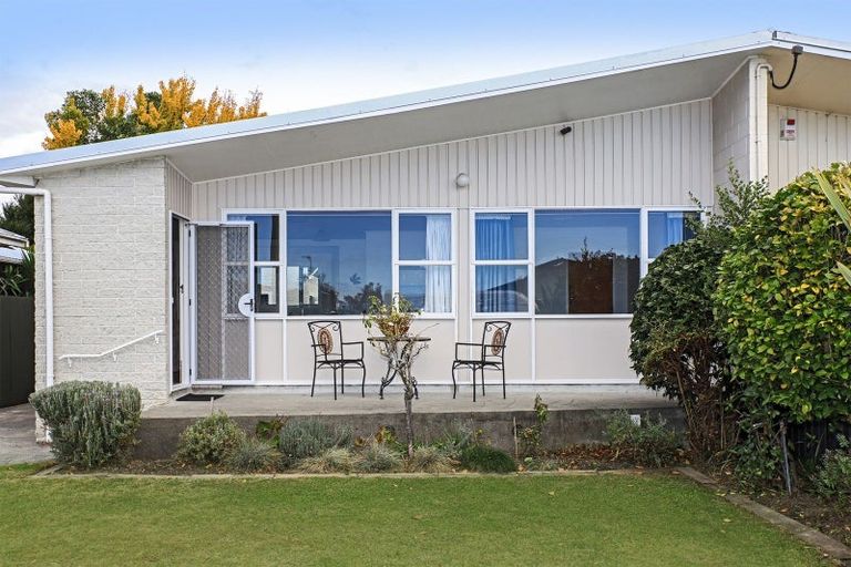 Photo of property in 910b Rata Street, Mahora, Hastings, 4120