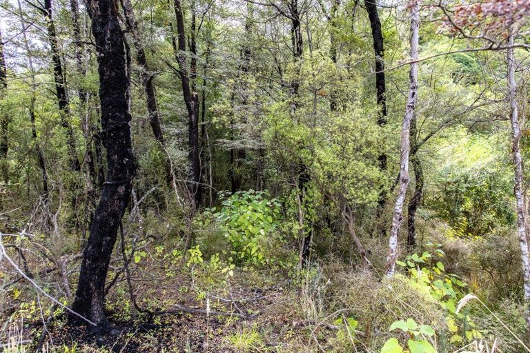 Photo of property in 82 Glentui Bush Road, Glentui, Oxford, 7495