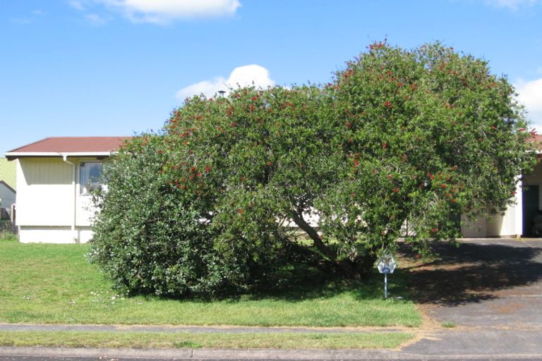 Photo of property in 20 Barnett Street, Putaruru, 3411