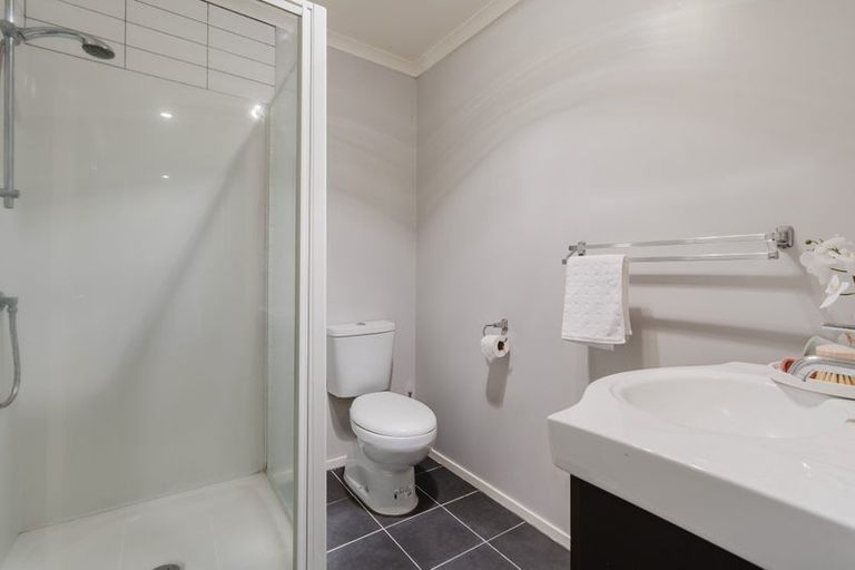 Photo of property in 217a Killarney Road, Frankton, Hamilton, 3204