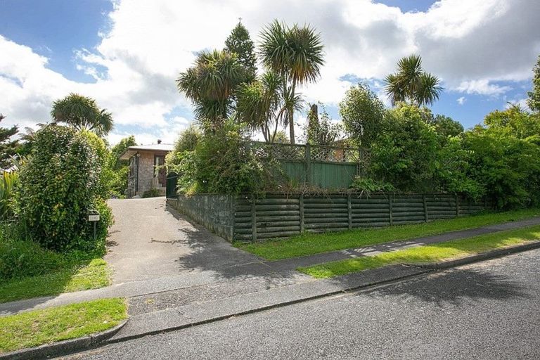 Photo of property in 99 Buckland Street, Putaruru, 3411