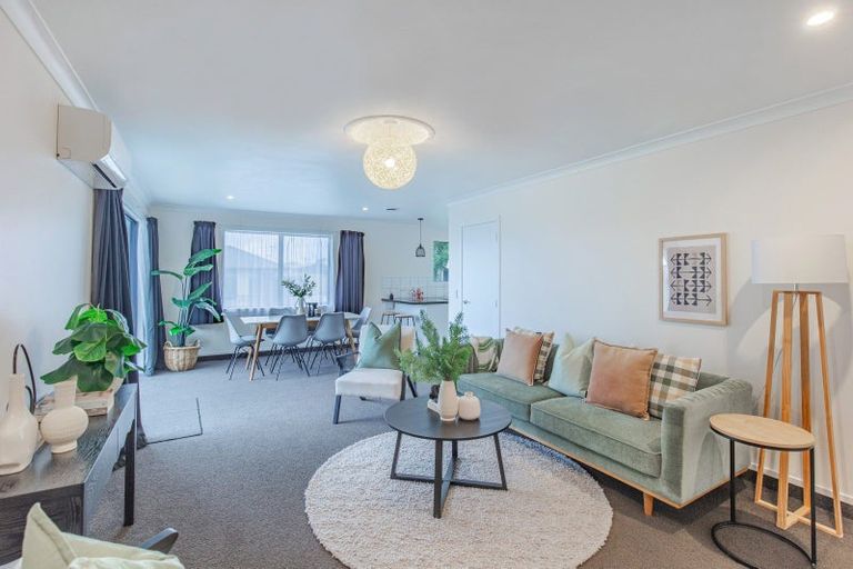 Photo of property in 33 Elizabeth Street, Levin, 5510