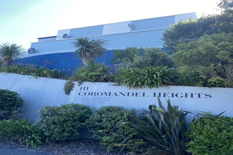 Photo of property in Coromandel Heights, 3/111 Coromandel Street, Newtown, Wellington, 6021